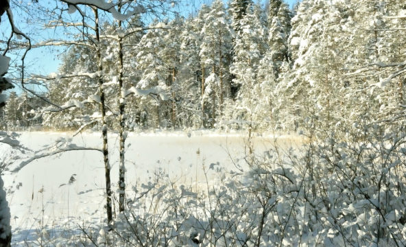 Talvinen maisema vuonna 2019.